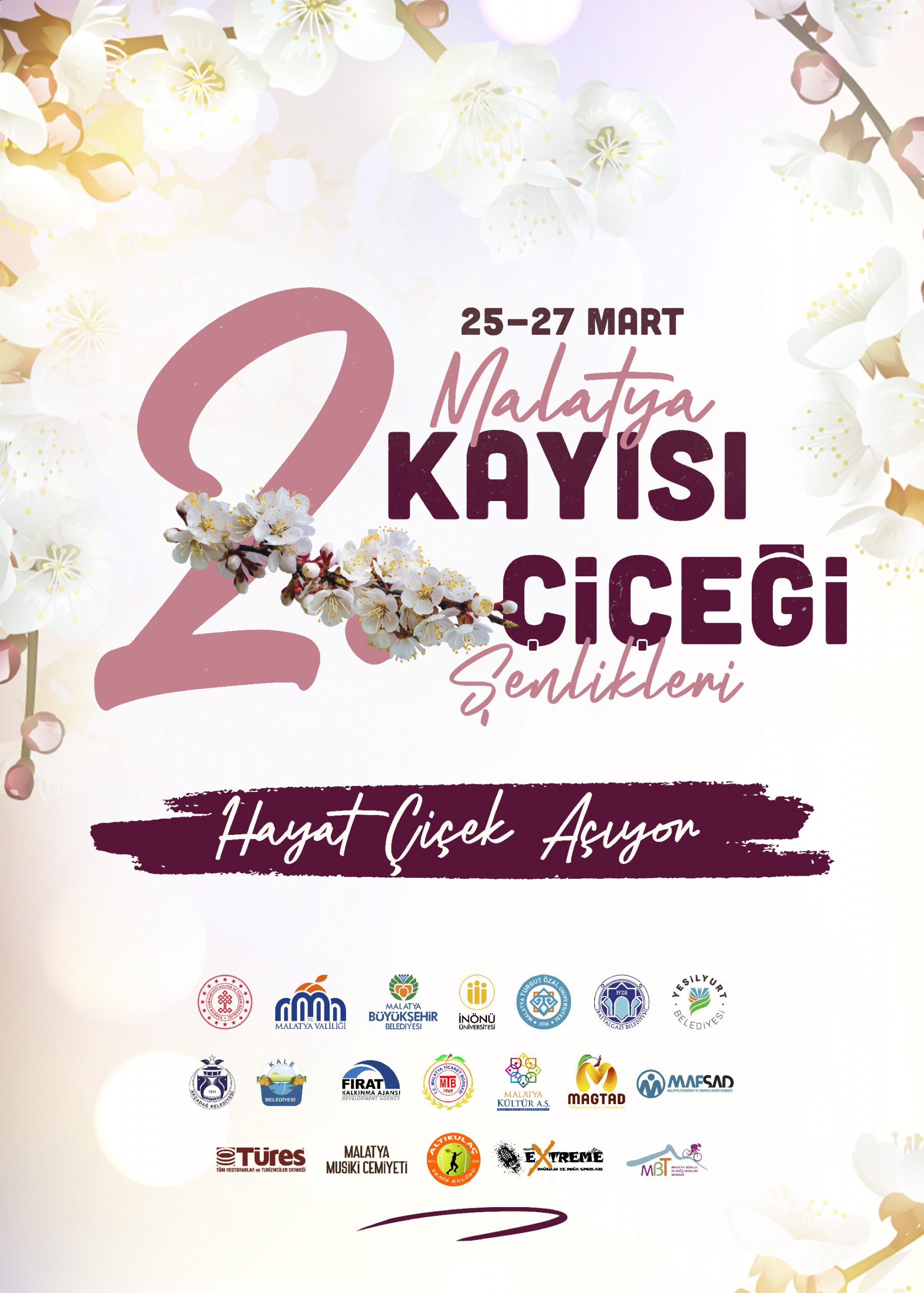 KAYISI ÇİÇEĞİ ŞENLİKLERİ 25-27 MART