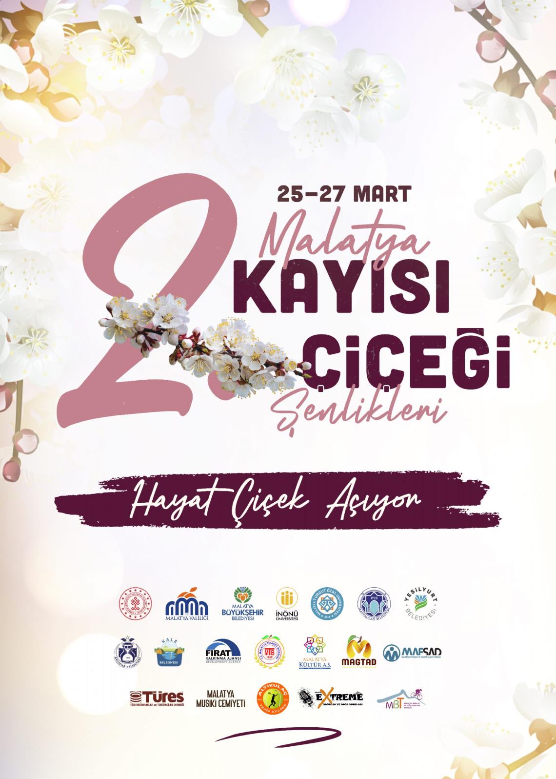 KAYISI ÇİÇEĞİ ŞENLİKLERİ 25-27 MART