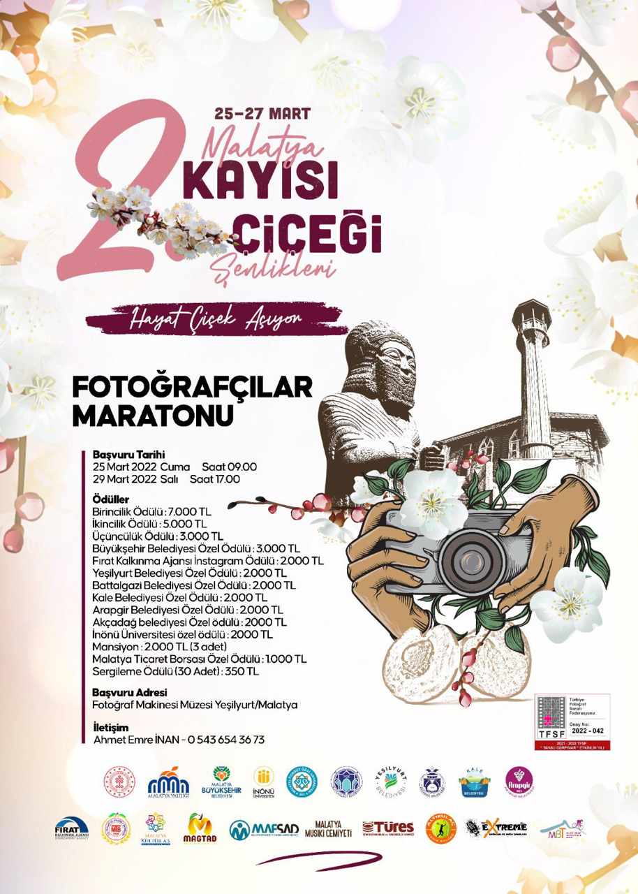 KAYISI ÇİÇEĞİ ETKİNLİKLERİ